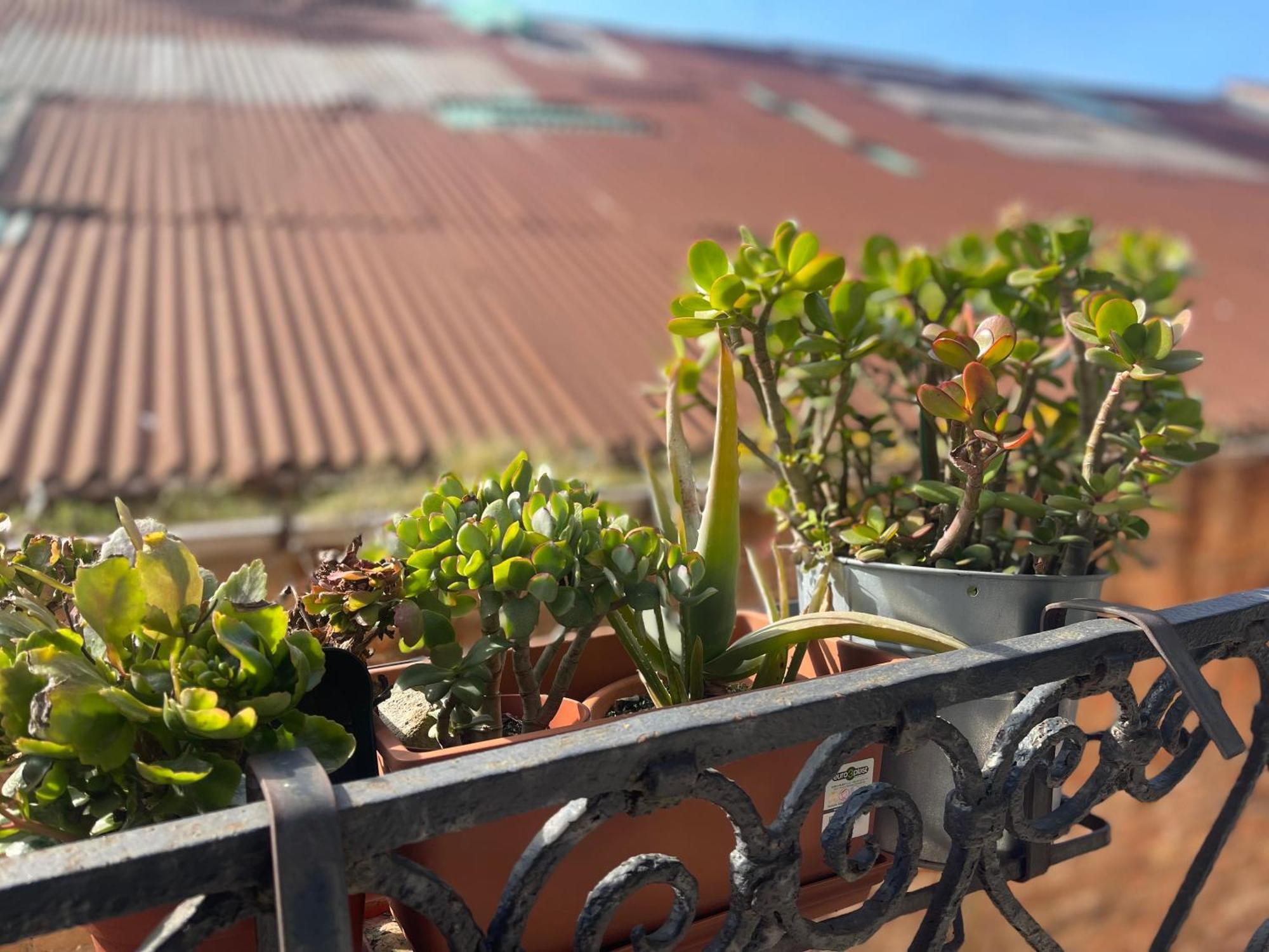 Santa Caterina Hotel Венеция Екстериор снимка